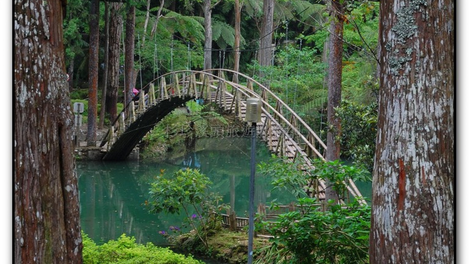 大學池-溪頭旅遊景點