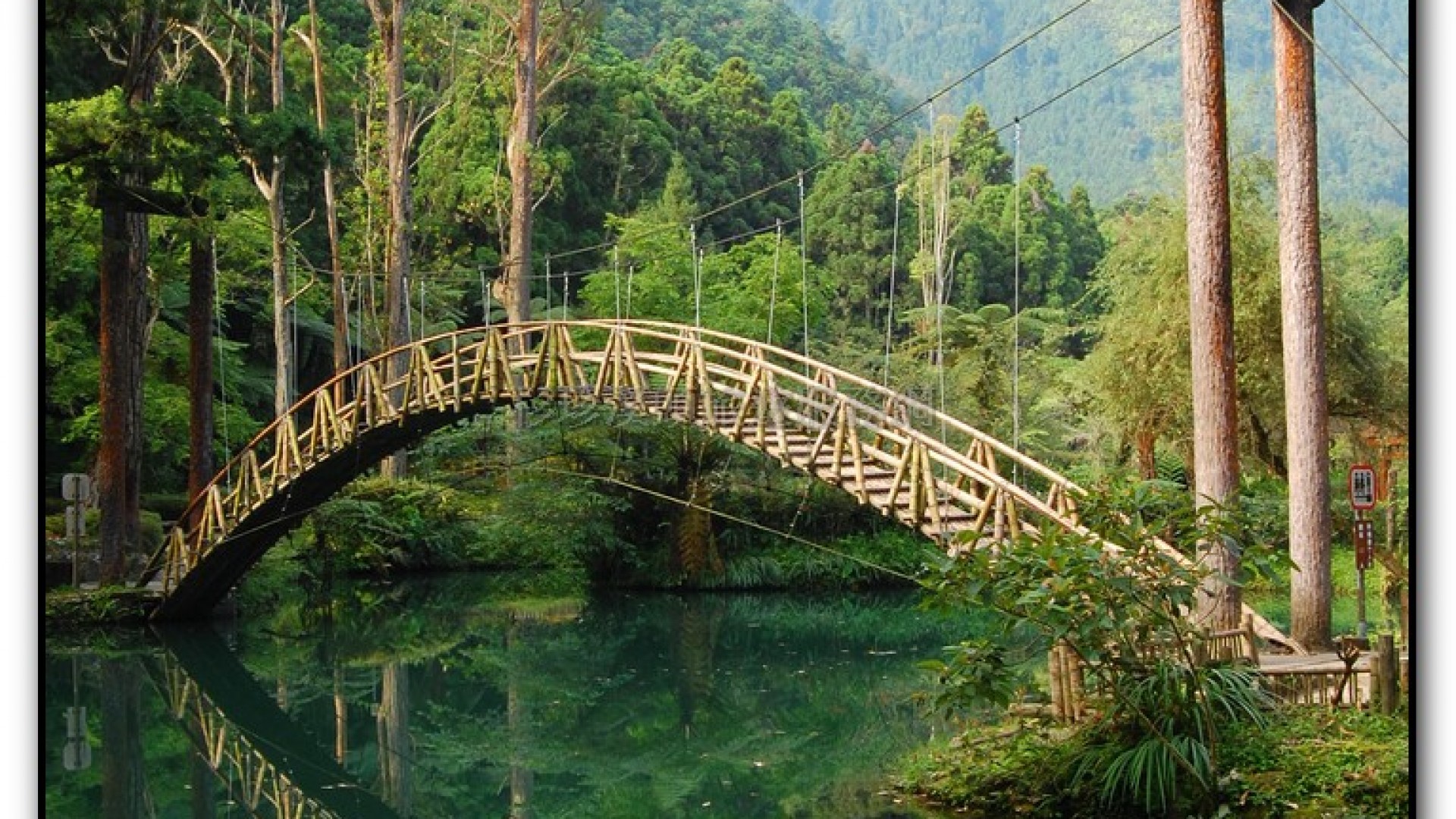 大學池-溪頭旅遊景點