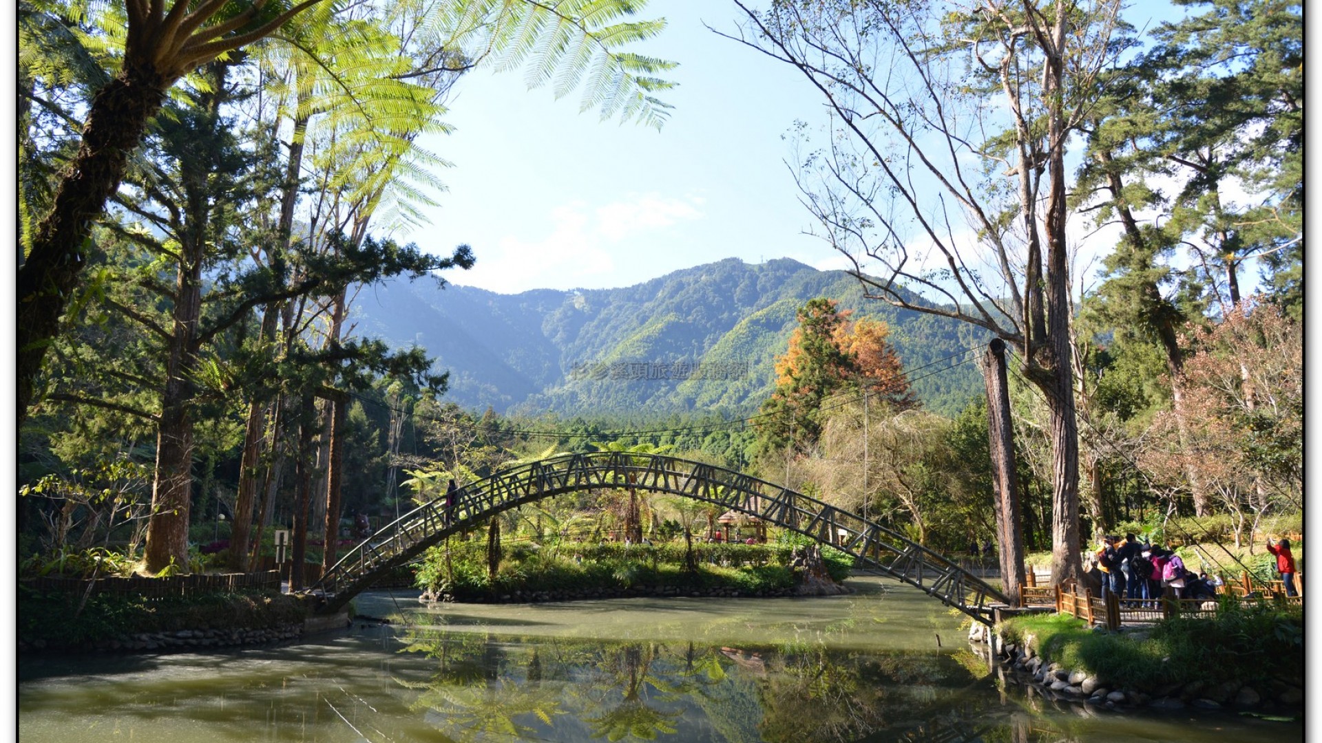大學池-溪頭旅遊景點