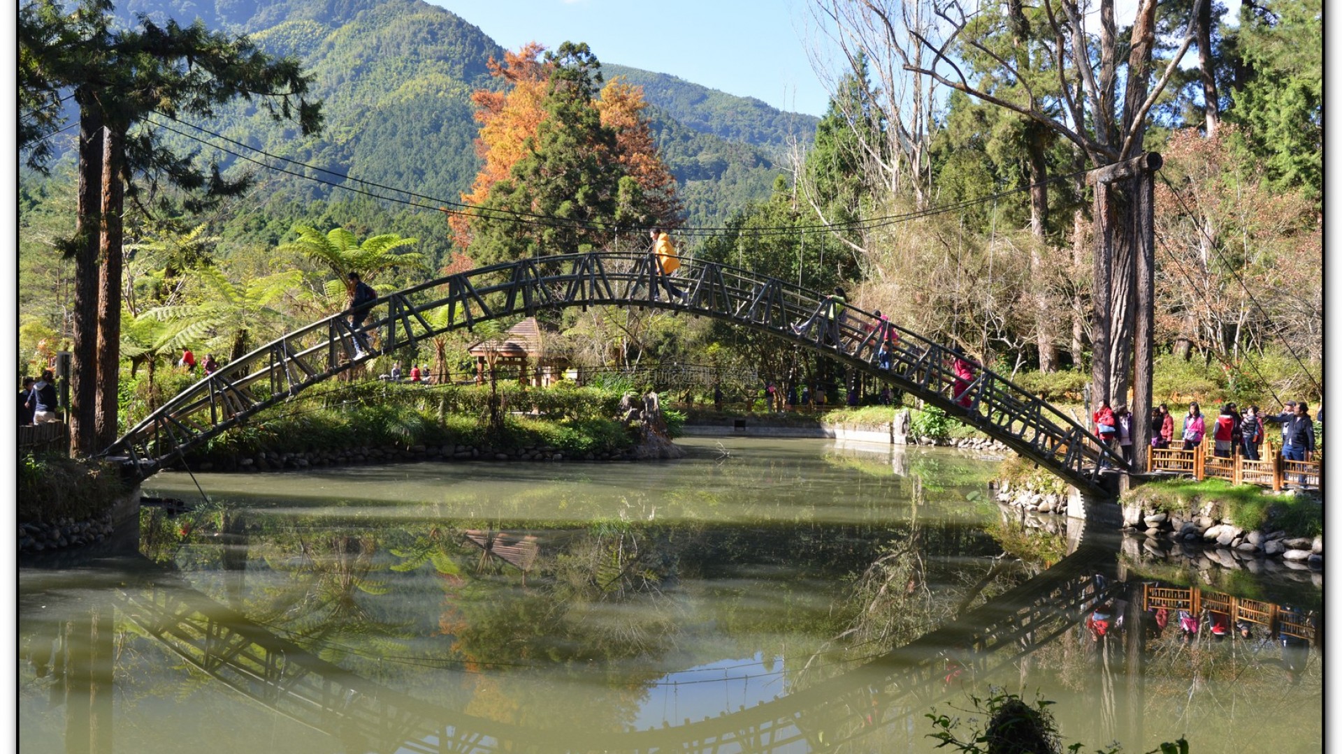 大學池-溪頭旅遊景點