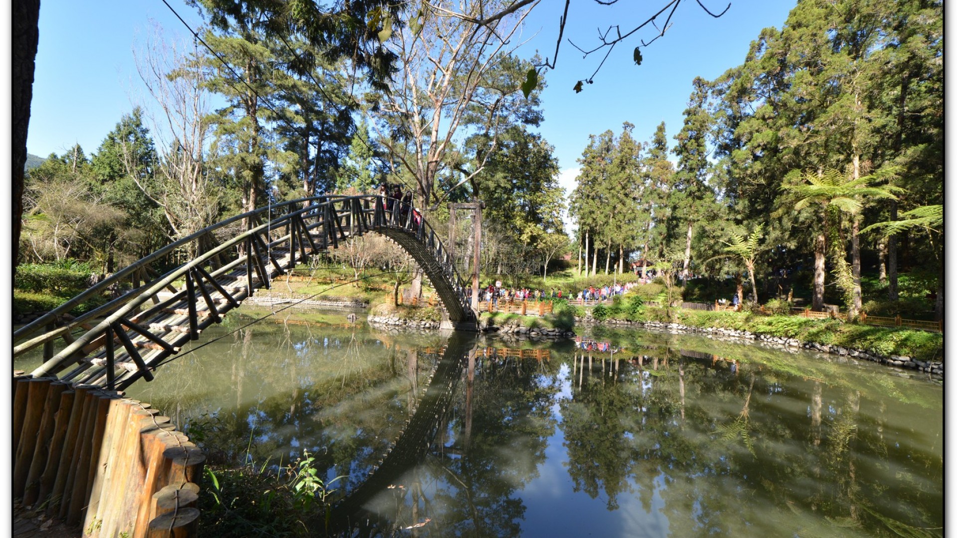 大學池-溪頭旅遊景點