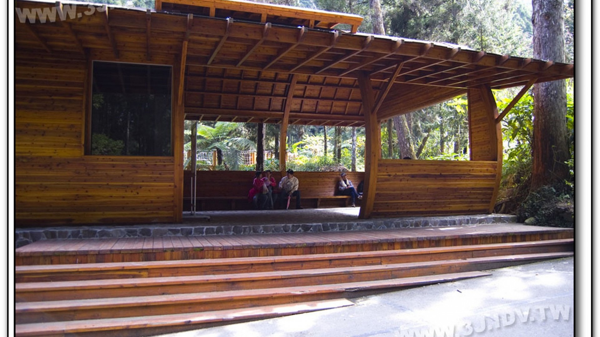 森林探索-溪頭旅遊景點