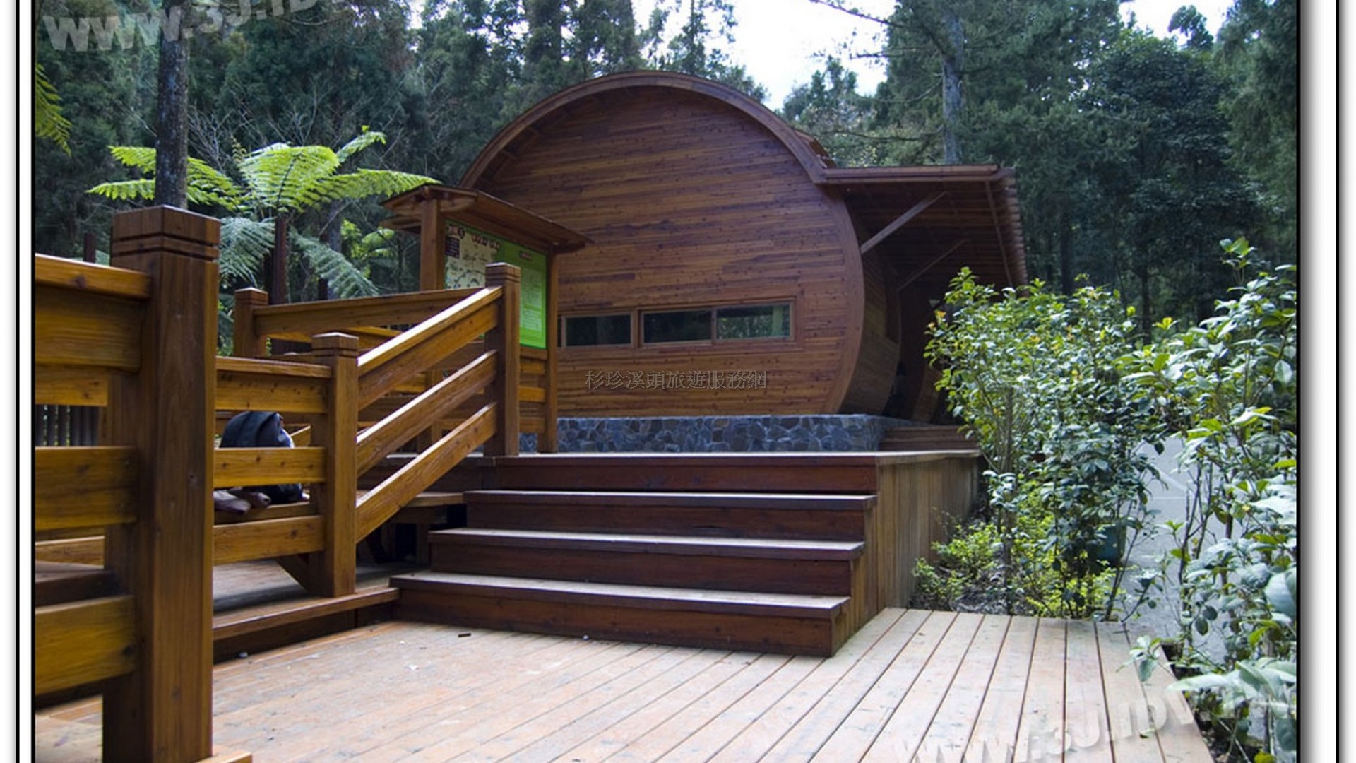 森林探索-溪頭旅遊景點