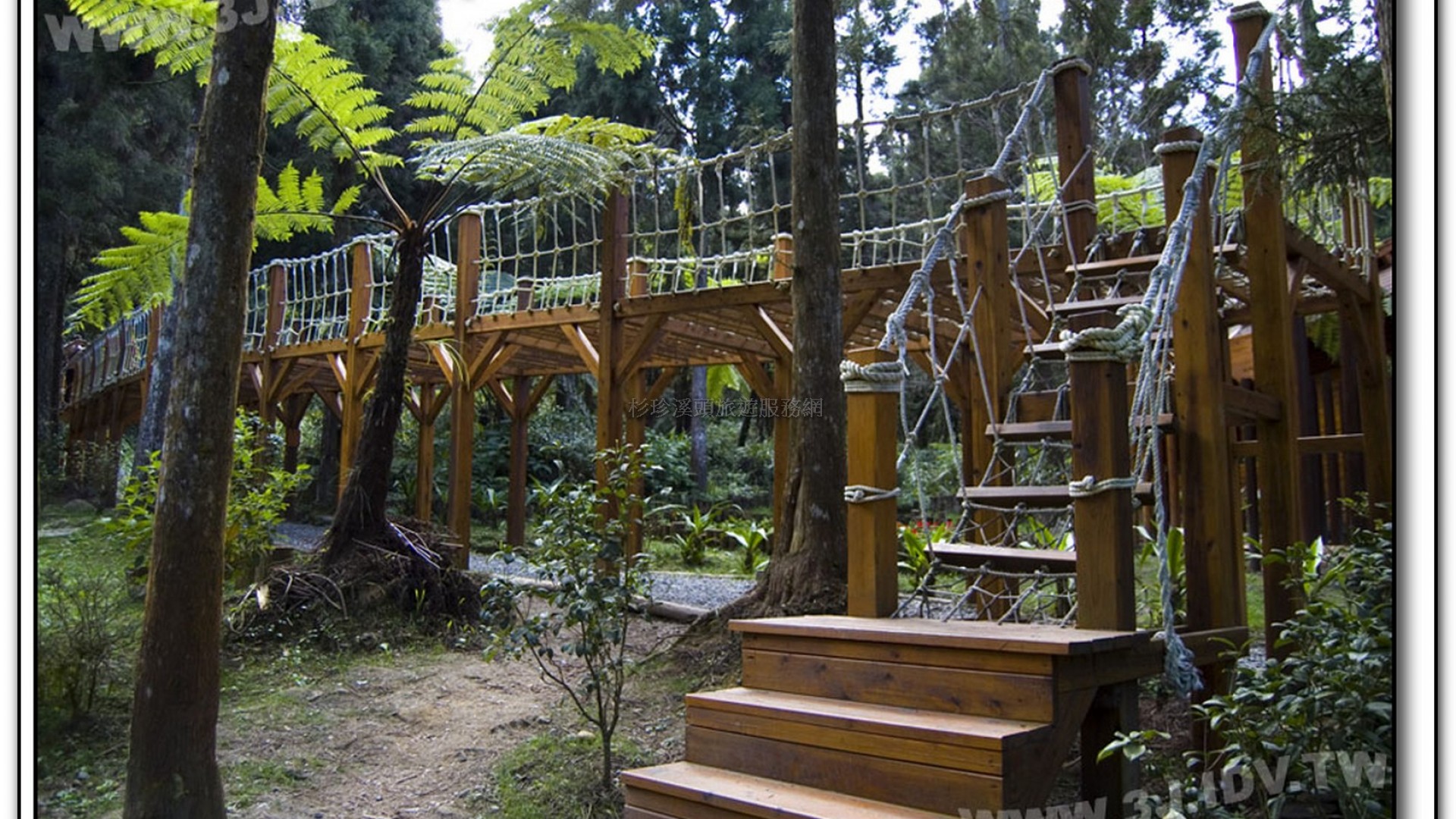 森林探索-溪頭旅遊景點