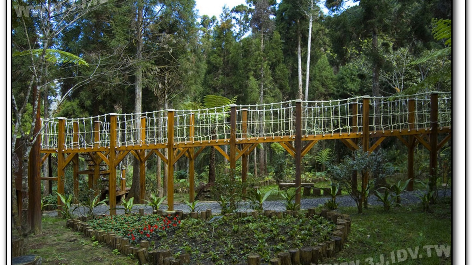 森林探索-溪頭旅遊景點