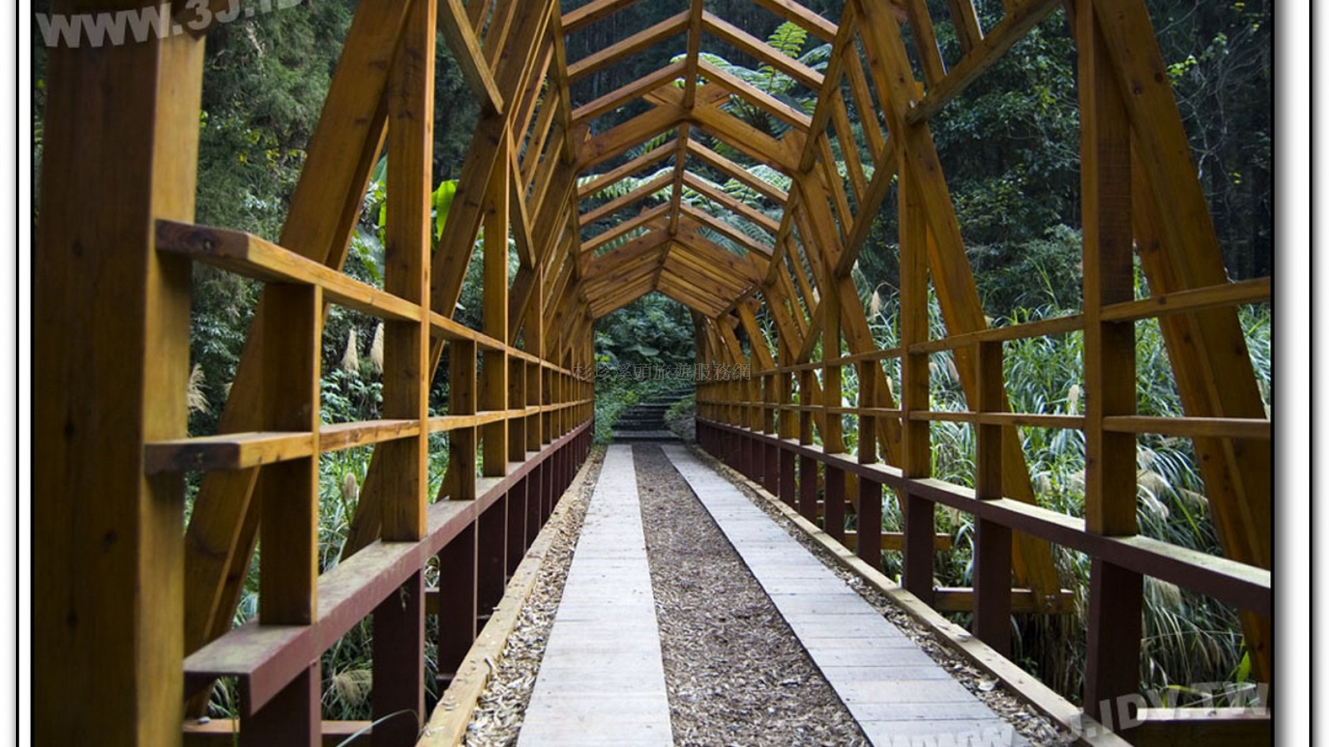森林探索-溪頭旅遊景點