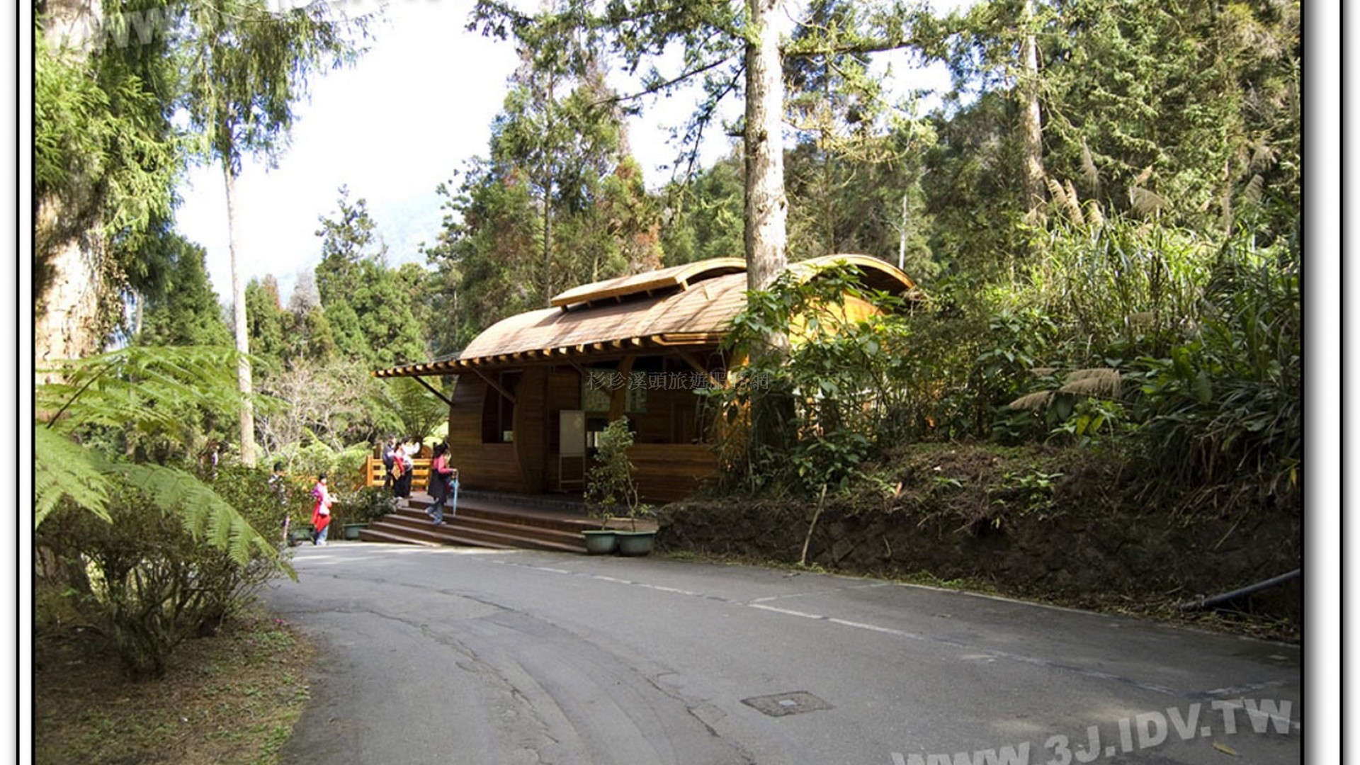 森林探索-溪頭旅遊景點