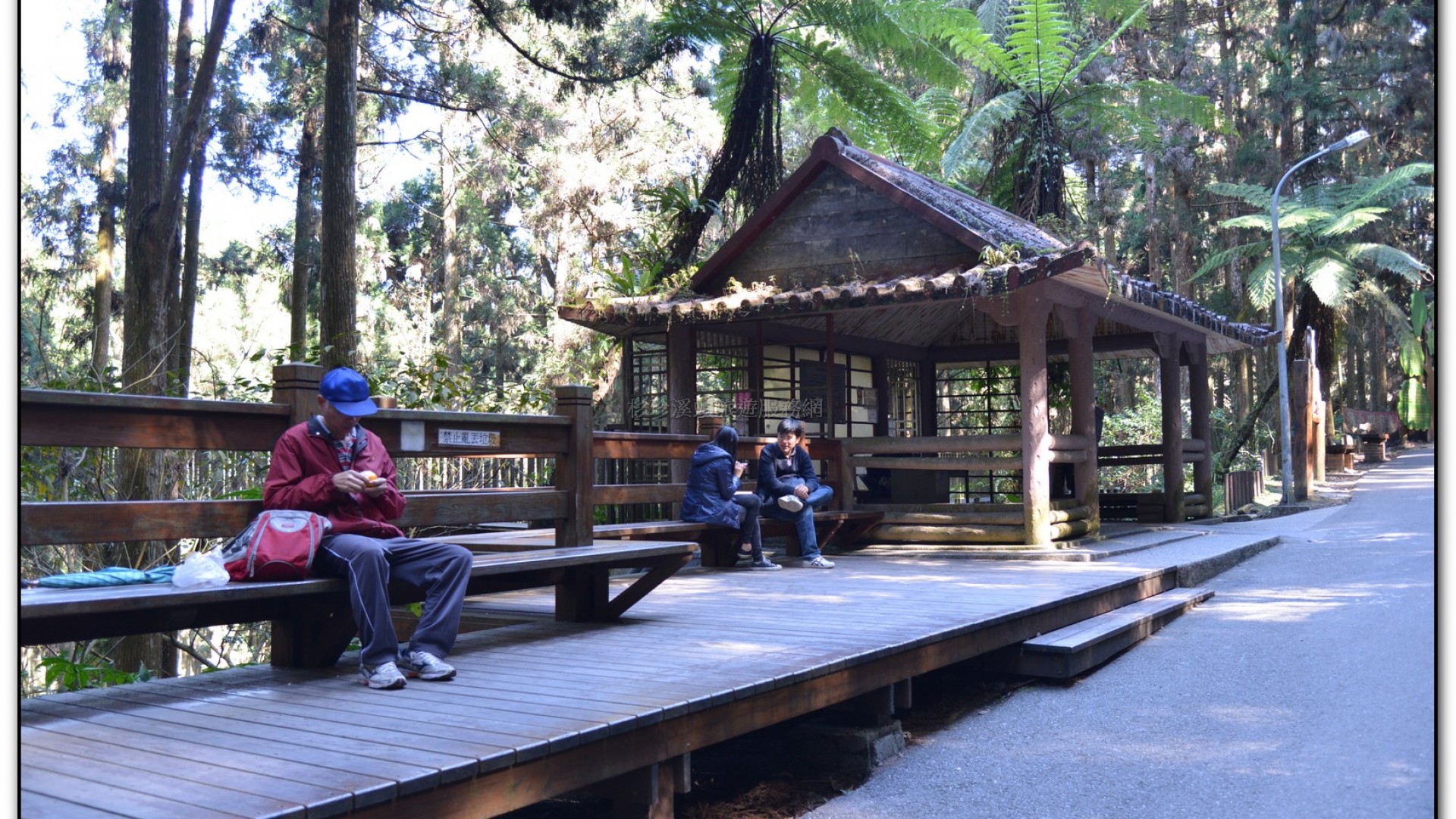 空中走廊-溪頭旅遊景點