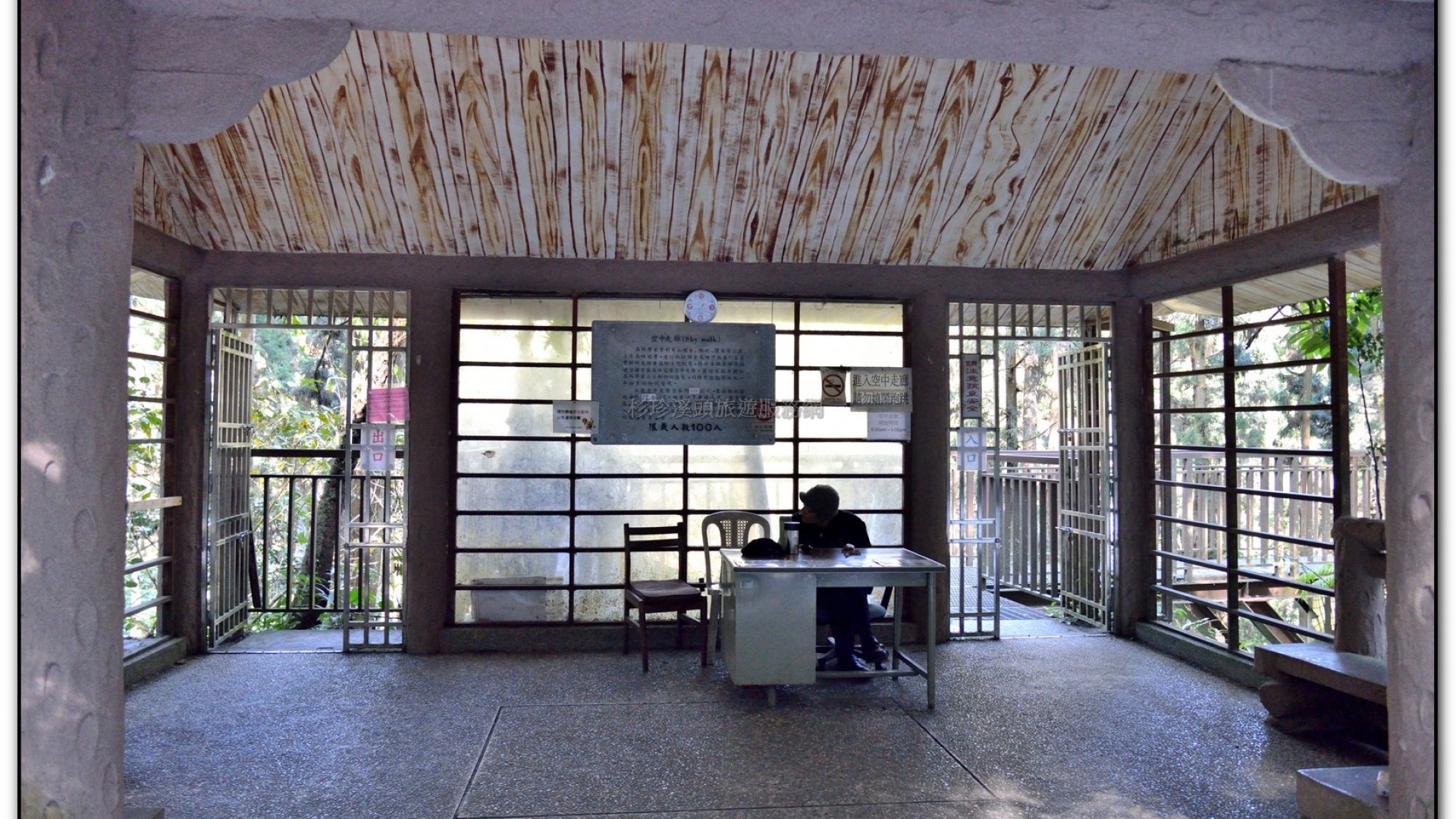 空中走廊-溪頭旅遊景點