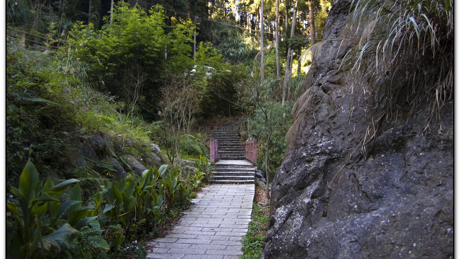 溪頭旅遊景點-巨石