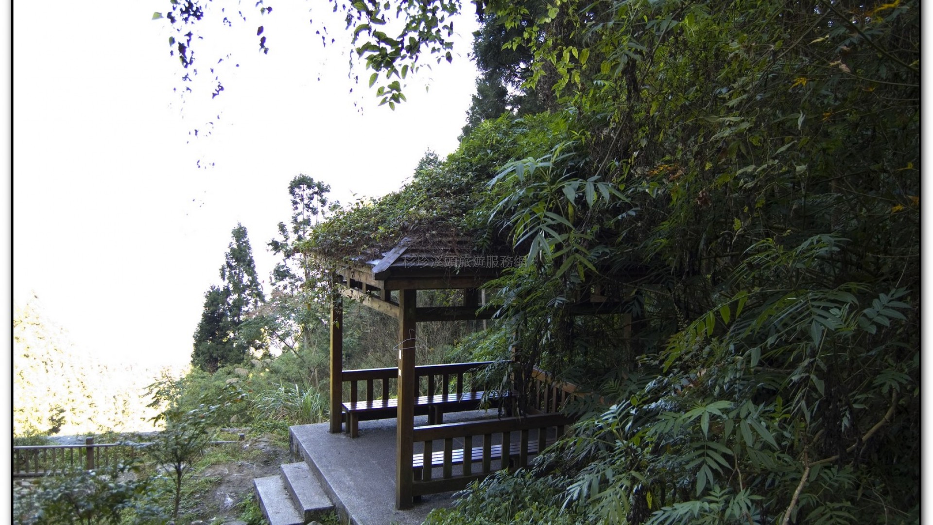 溪頭旅遊景點-巨石