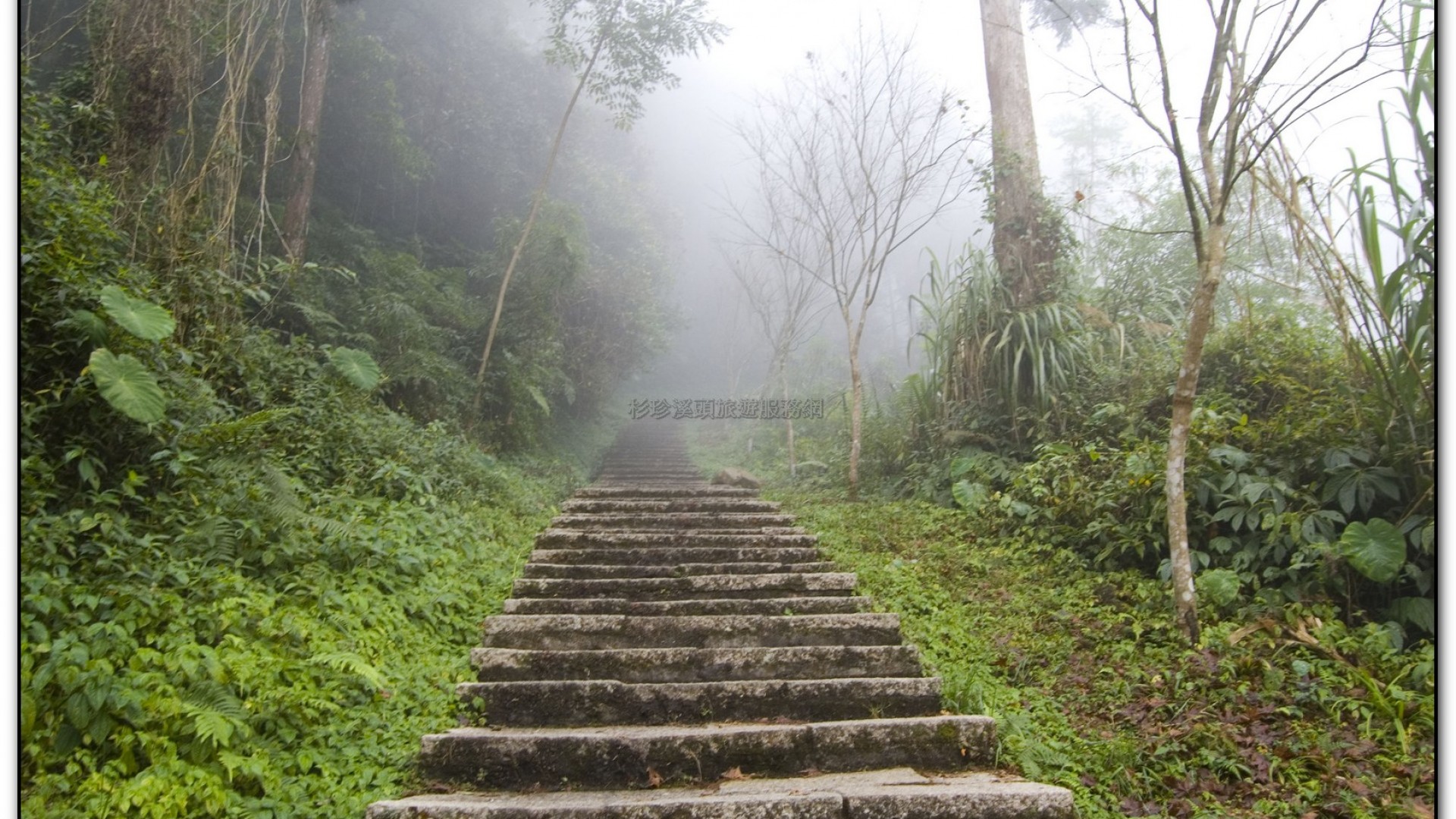 溪頭旅遊景點-巨石