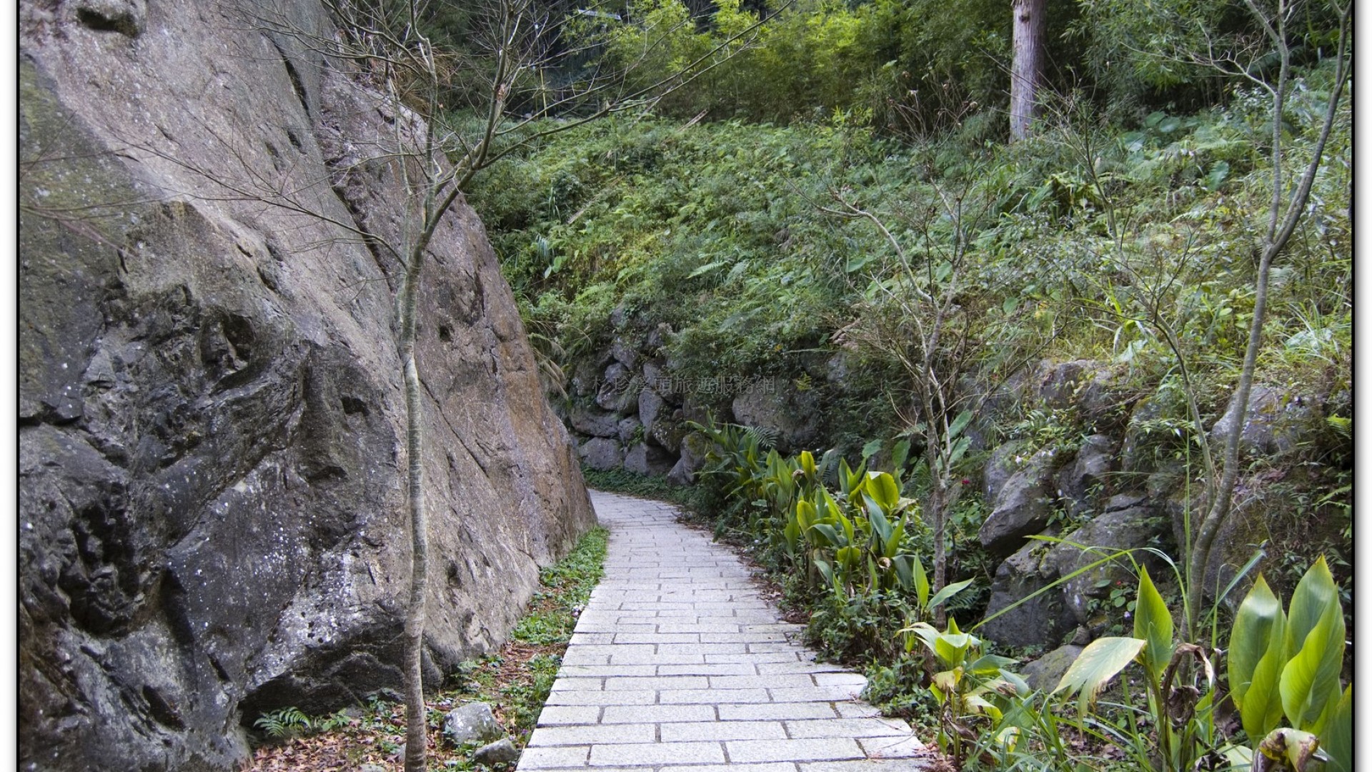 溪頭旅遊景點-巨石