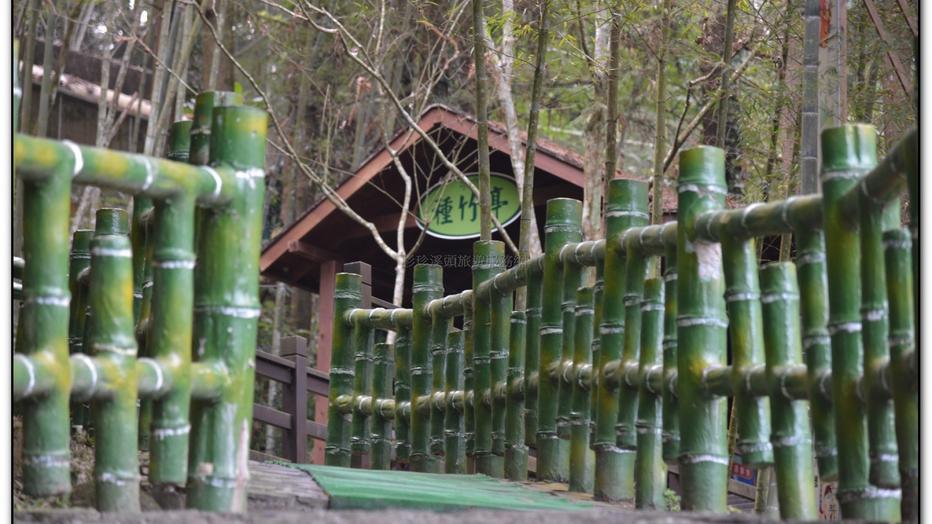 鳳凰谷鳥園-鹿谷旅遊景點