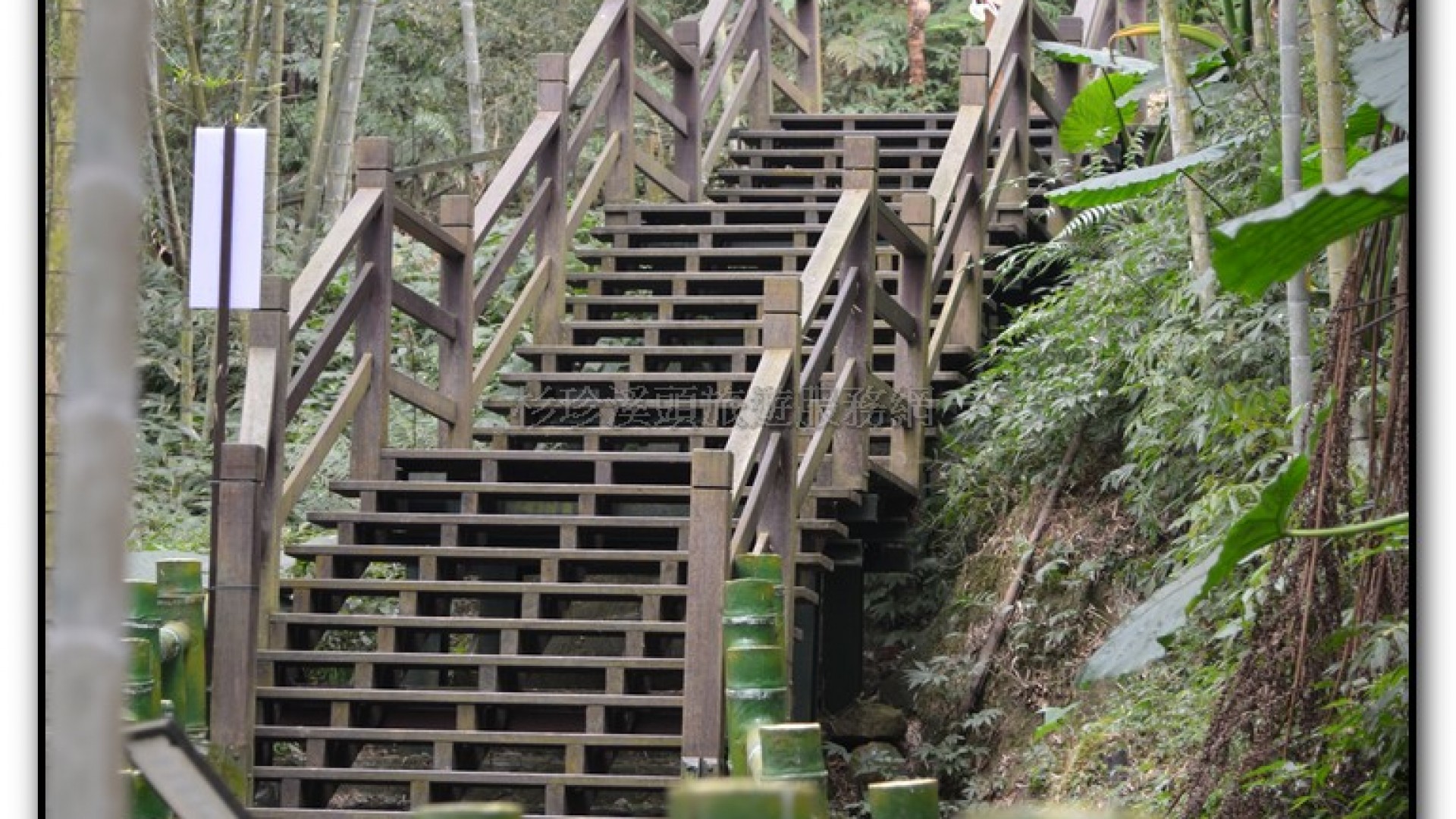 鳳凰谷鳥園-鹿谷旅遊景點