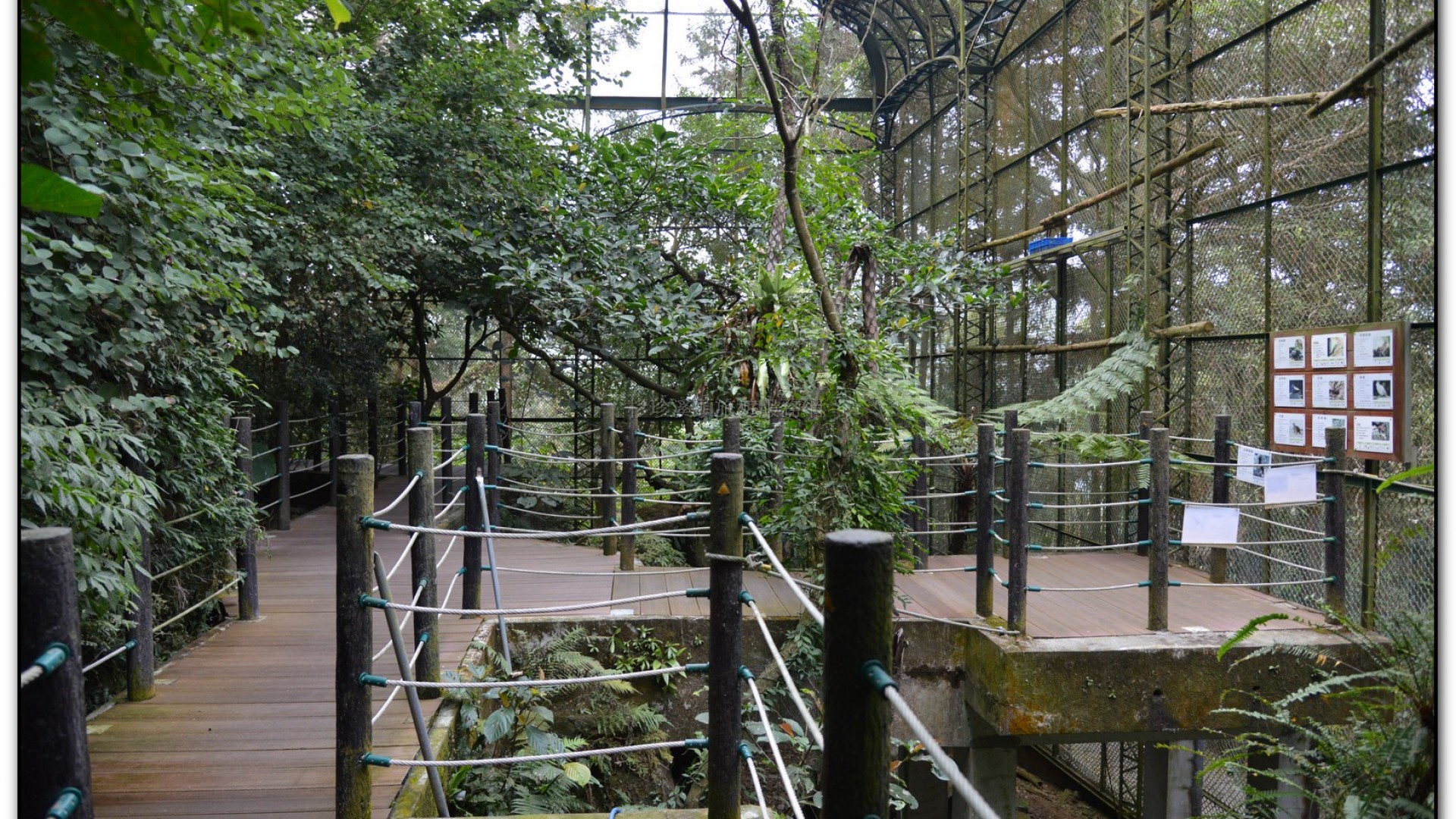 鳳凰谷鳥園-鹿谷旅遊景點