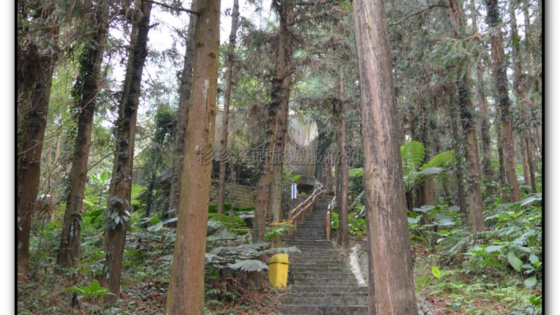鳳凰谷鳥園-鹿谷旅遊景點
