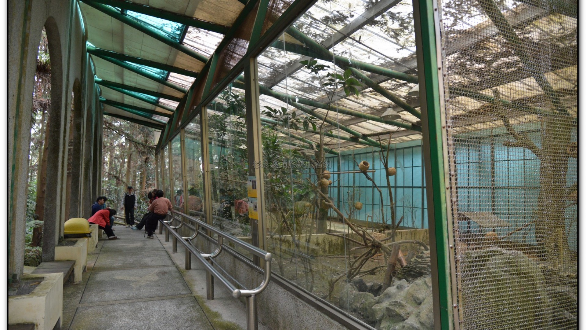 鳳凰谷鳥園-鹿谷旅遊景點