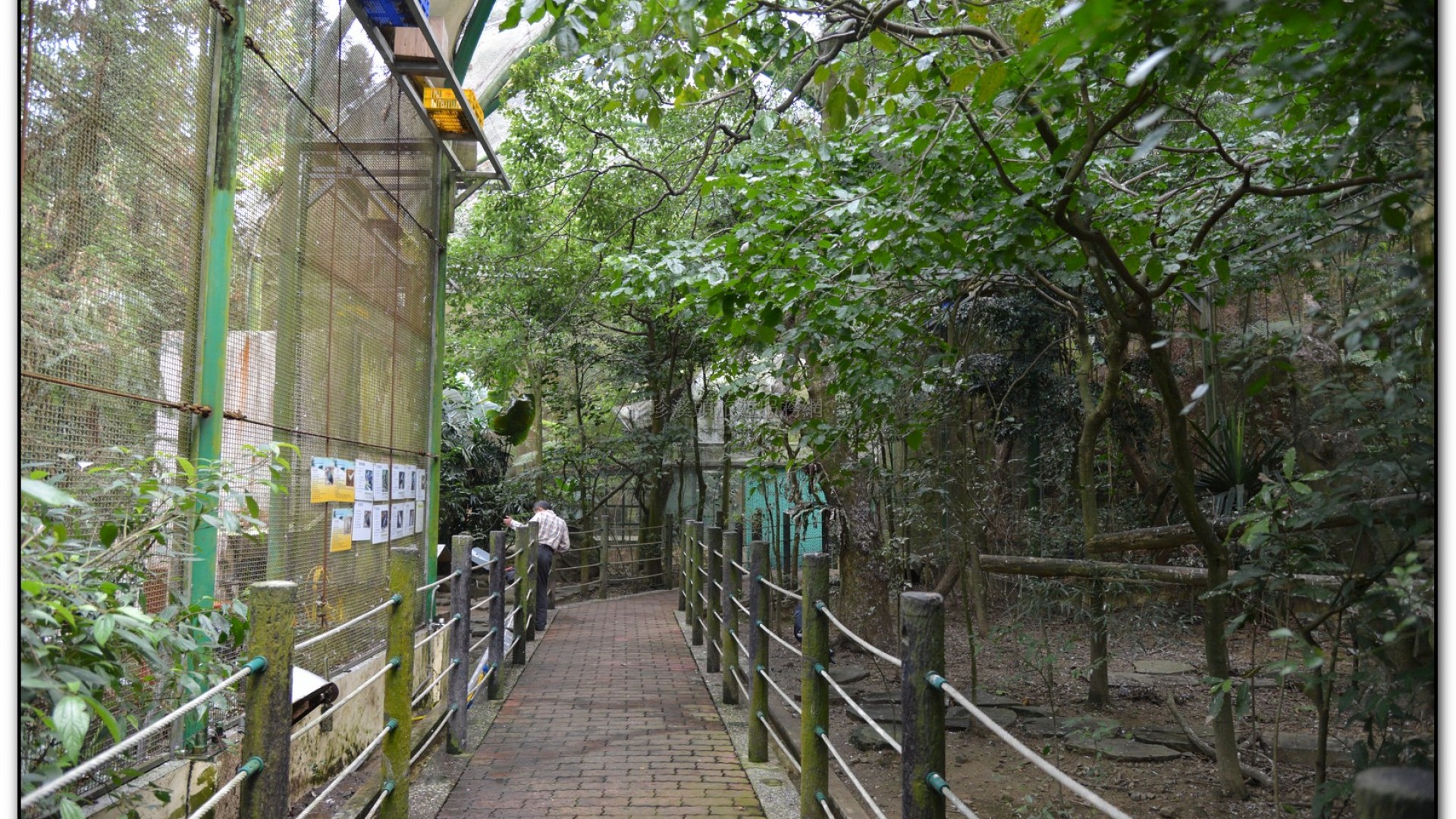 鳳凰谷鳥園-鹿谷旅遊景點