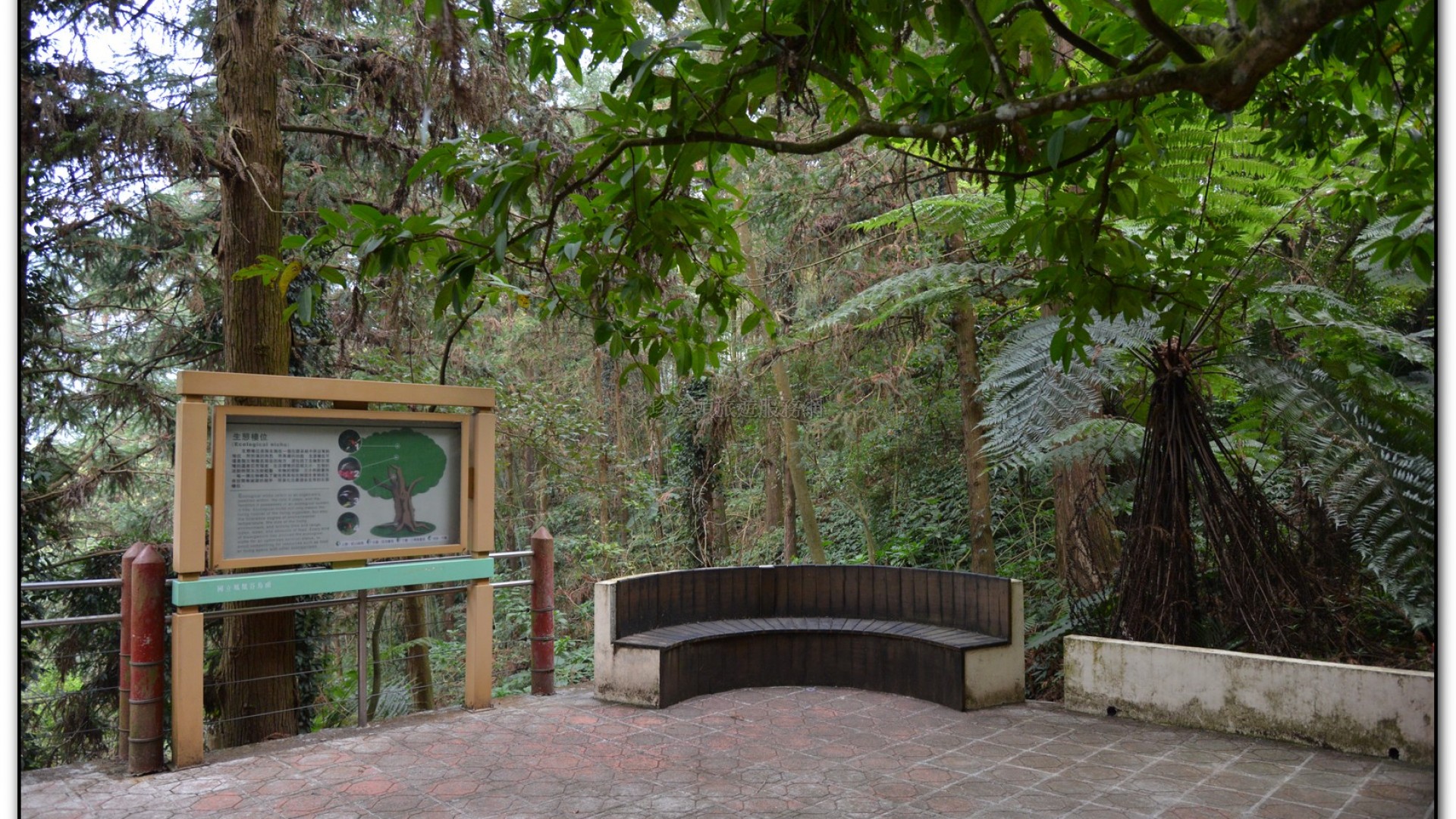 鳳凰谷鳥園-鹿谷旅遊景點