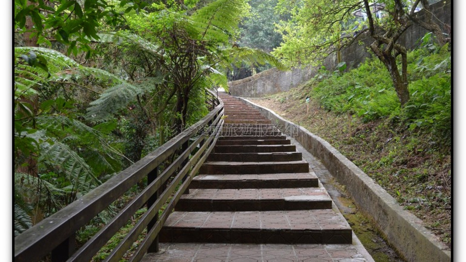 鳳凰谷鳥園-鹿谷旅遊景點