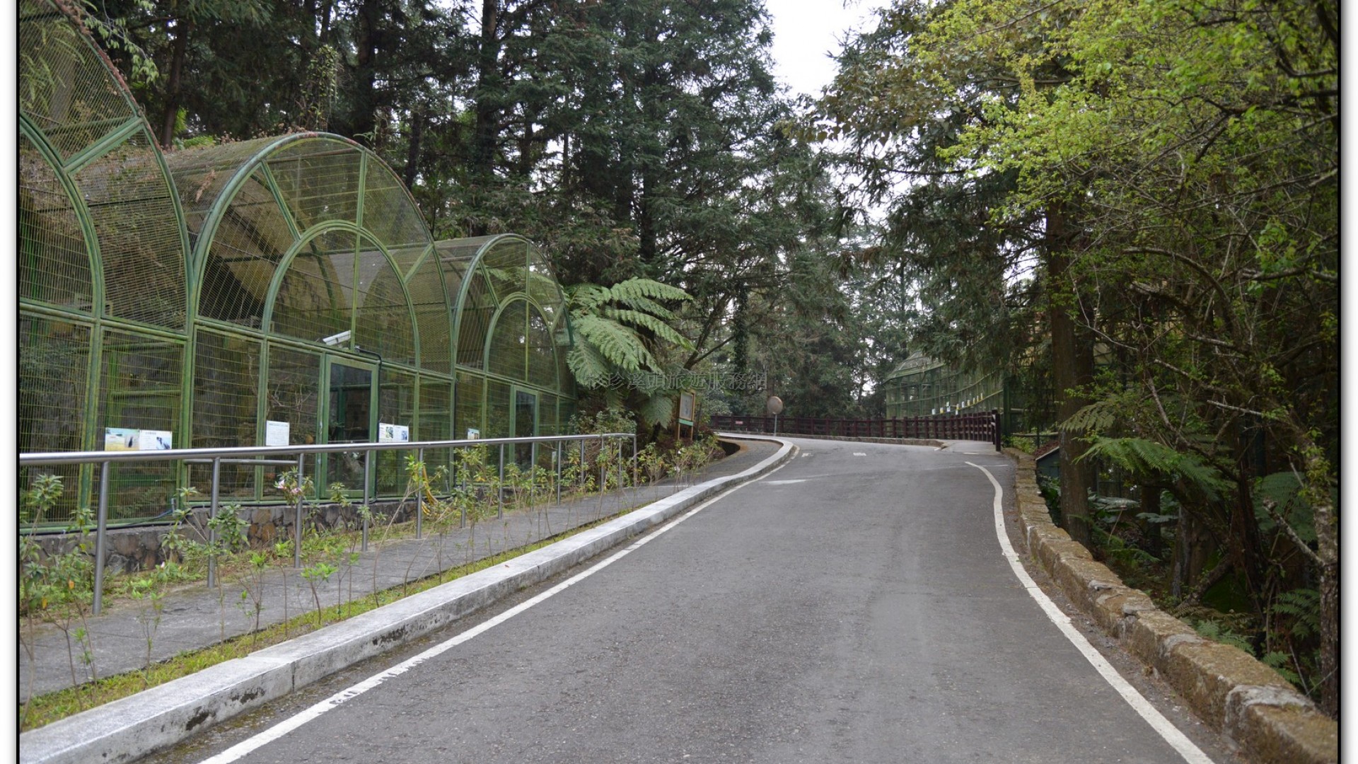 鳳凰谷鳥園-鹿谷旅遊景點