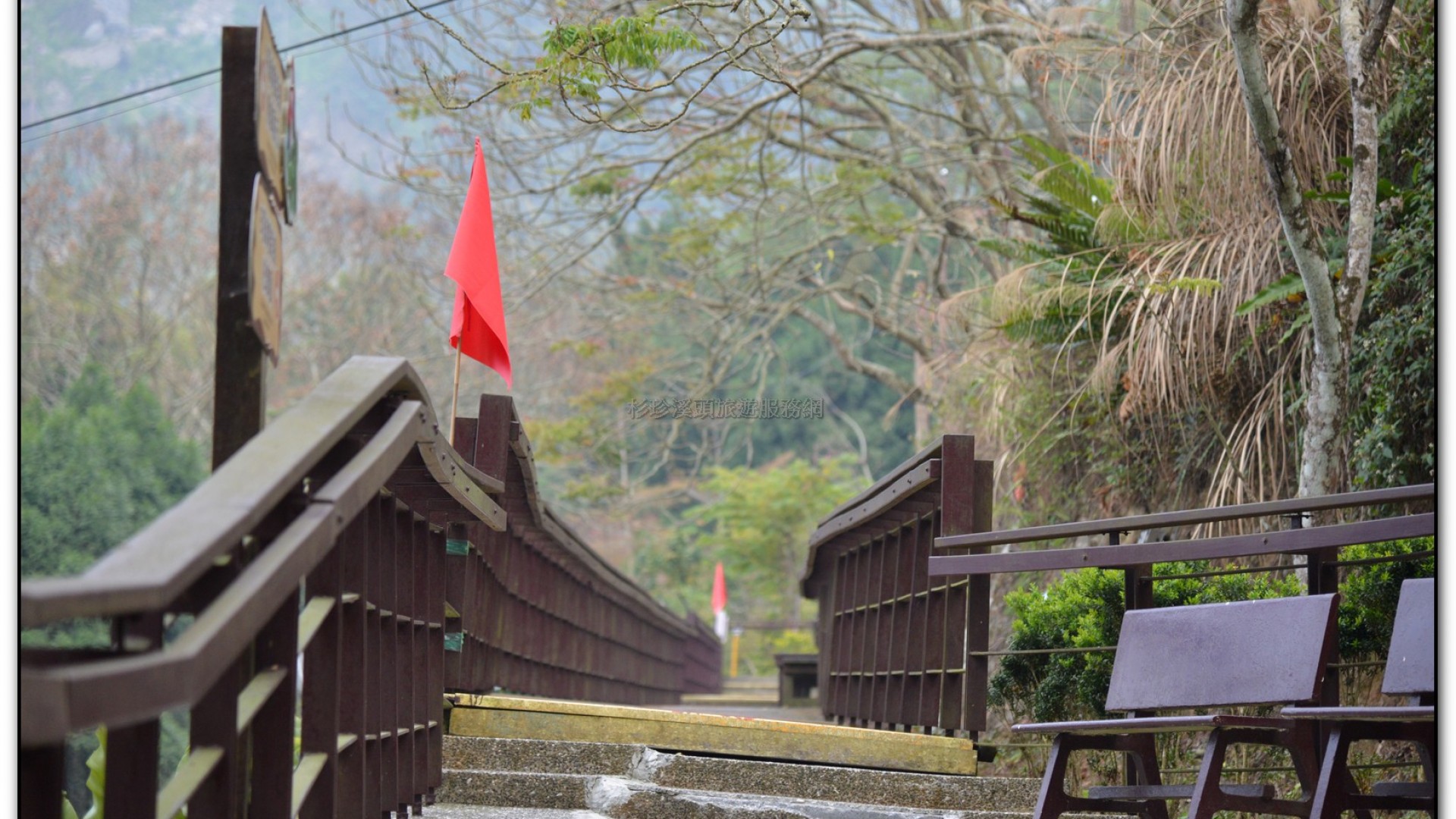 鳳凰谷鳥園-鹿谷旅遊景點