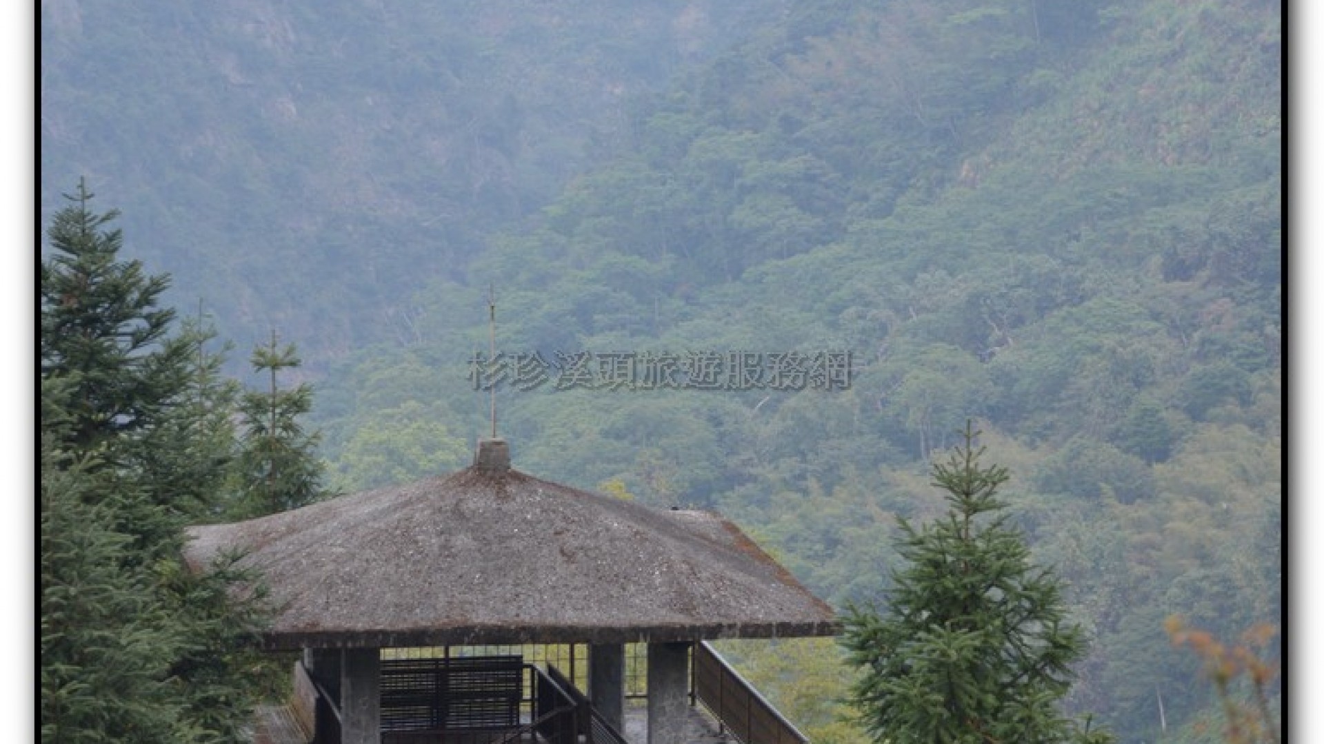 鳳凰谷鳥園-鹿谷旅遊景點