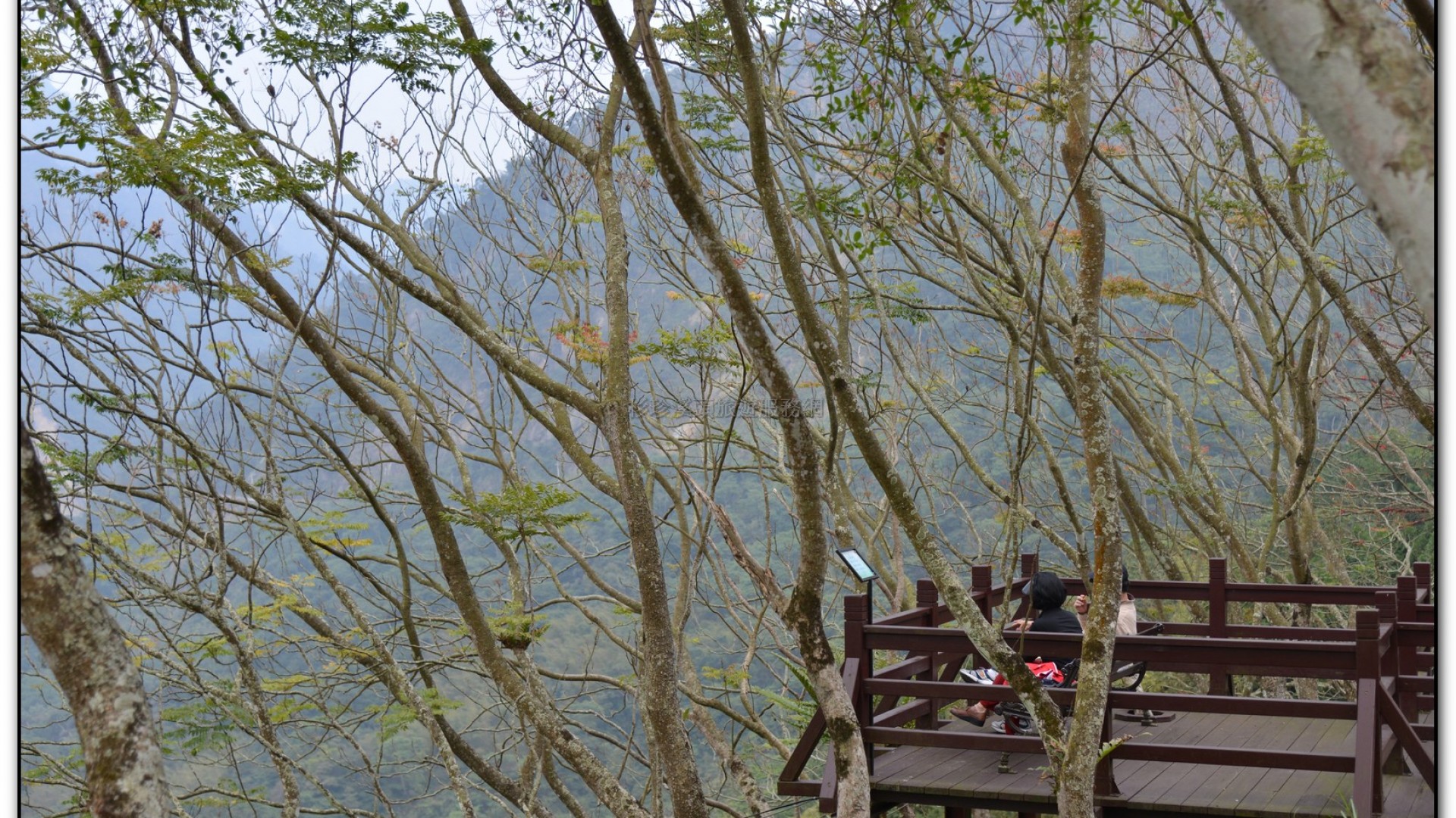 鳳凰谷鳥園-鹿谷旅遊景點