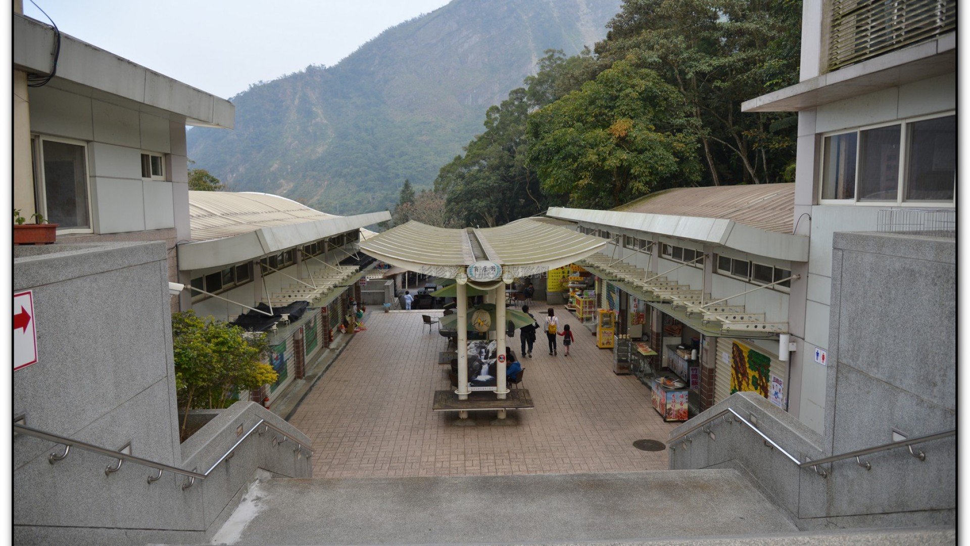 鳳凰谷鳥園-鹿谷旅遊景點