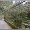 鳳凰谷鳥園-鹿谷旅遊景點