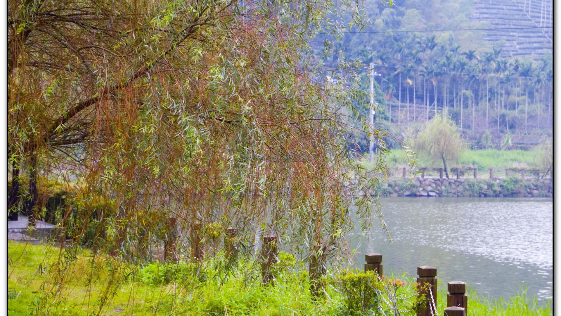 麒麟潭-鹿谷旅遊景點