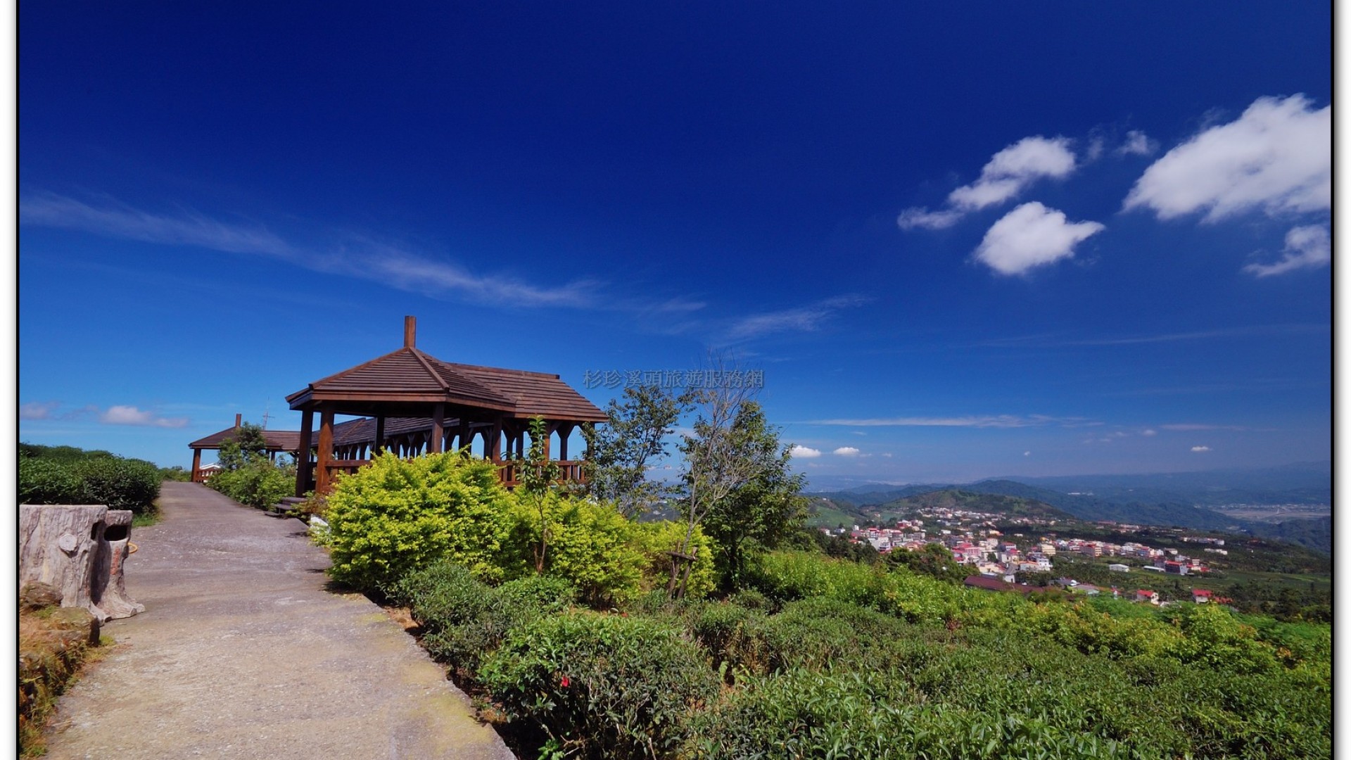 台大茶園-鹿谷旅遊景點