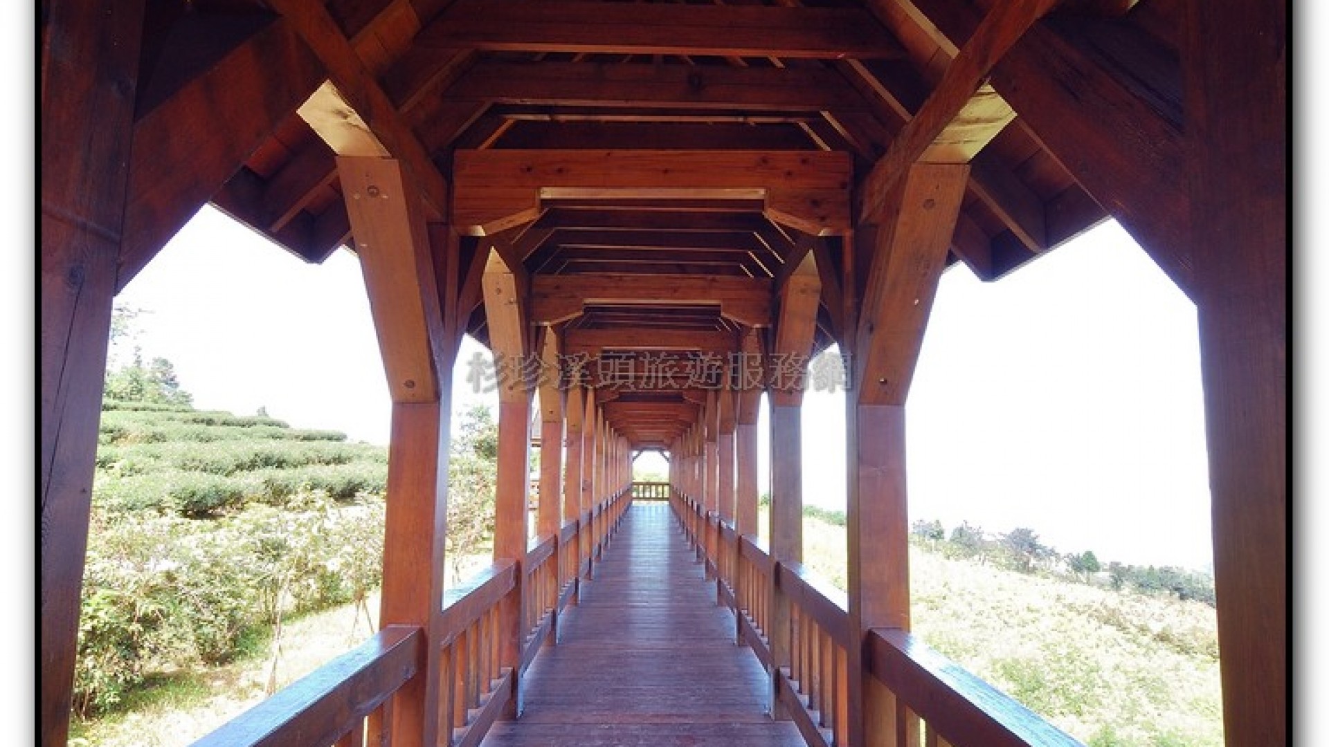 台大茶園-鹿谷旅遊景點