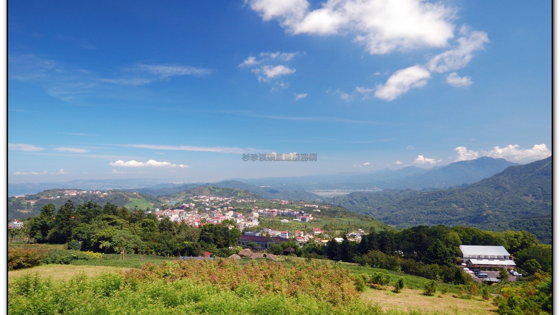 台大茶園-鹿谷旅遊景點