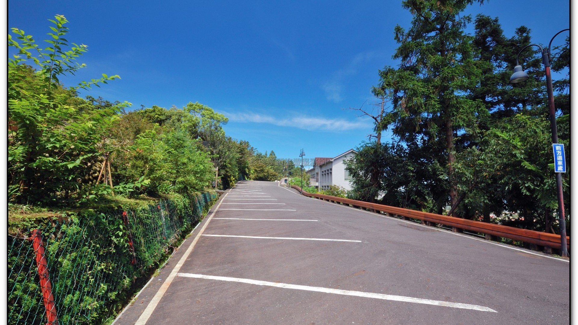 台大茶園-鹿谷旅遊景點