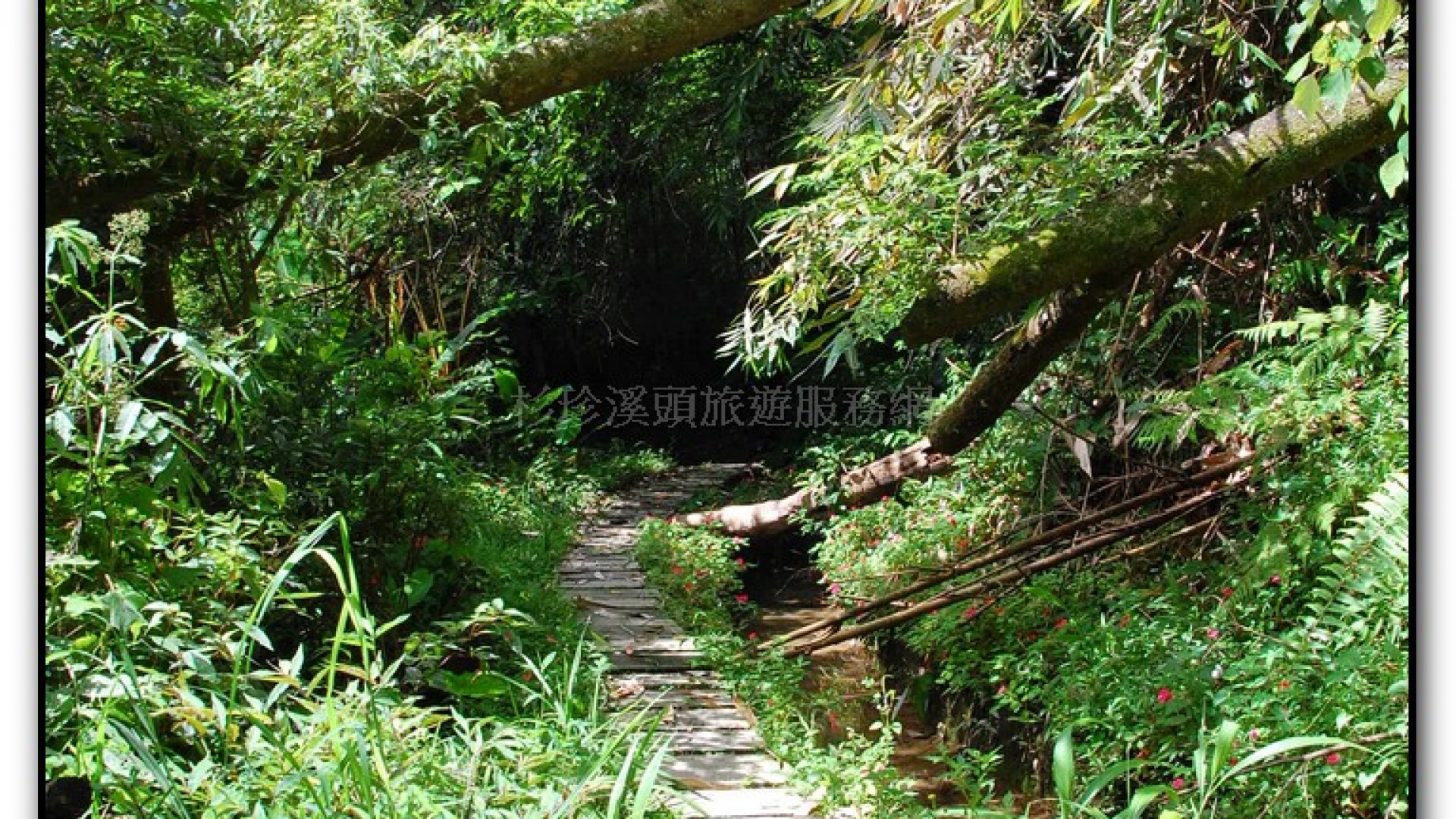 長源圳生態步道-小半天旅遊景點