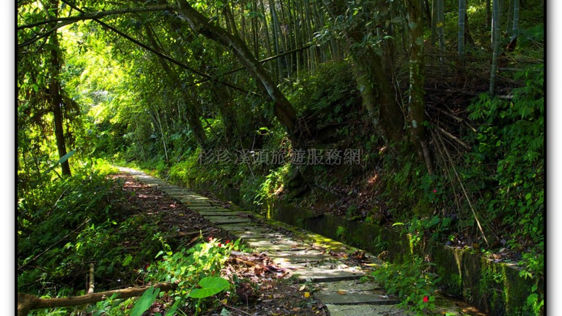 長源圳生態步道-小半天旅遊景點