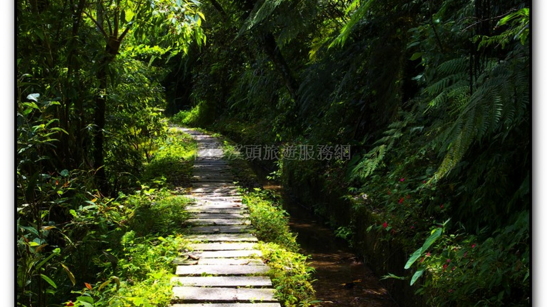 長源圳生態步道-小半天旅遊景點