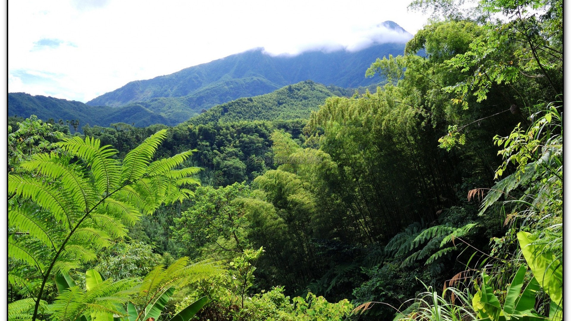 長源圳生態步道-小半天旅遊景點