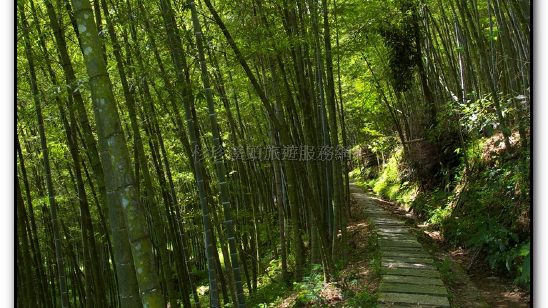 長源圳生態步道-小半天旅遊景點