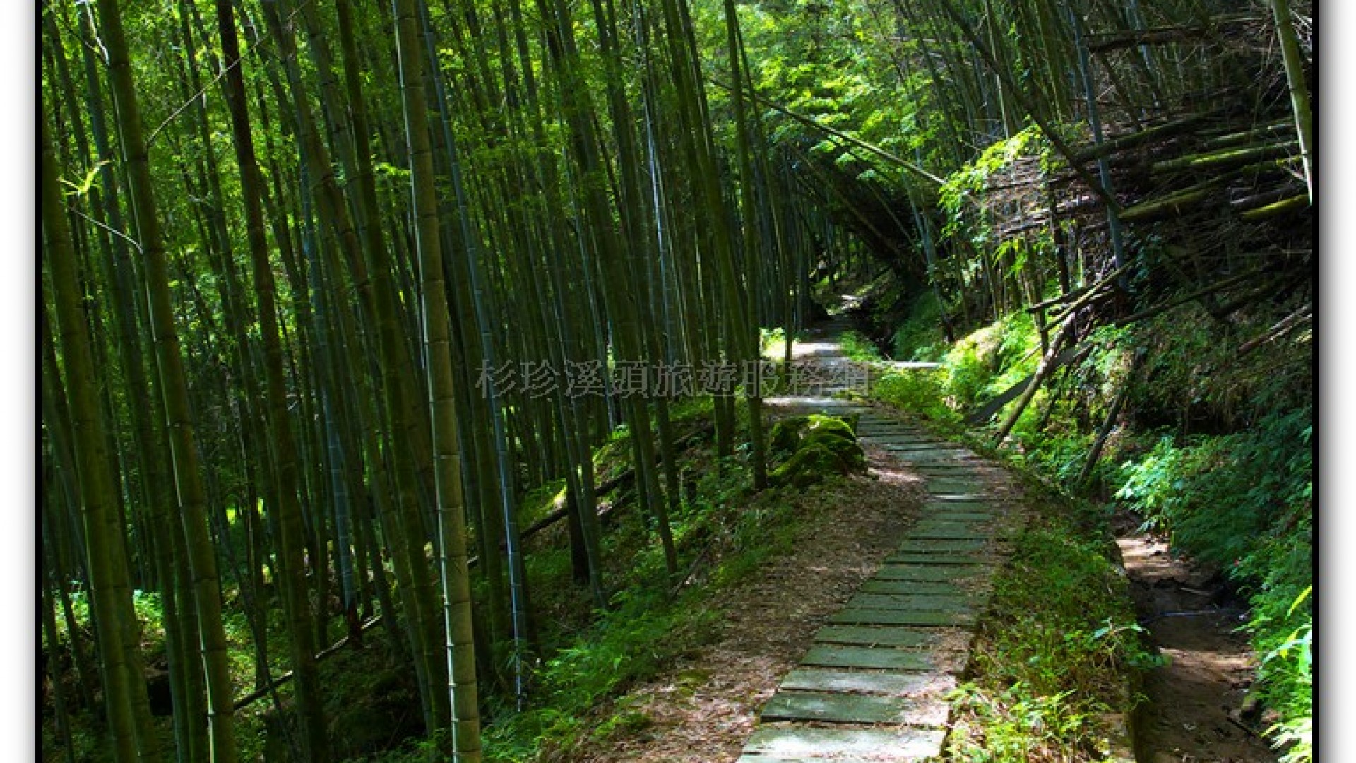 長源圳生態步道-小半天旅遊景點