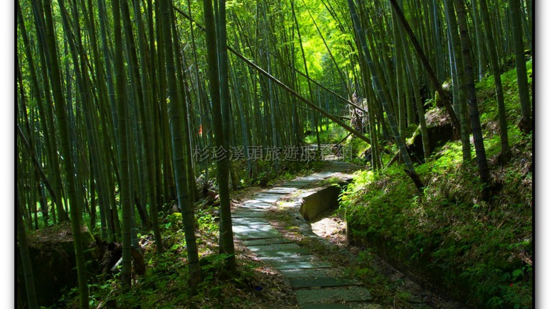 長源圳生態步道-小半天旅遊景點