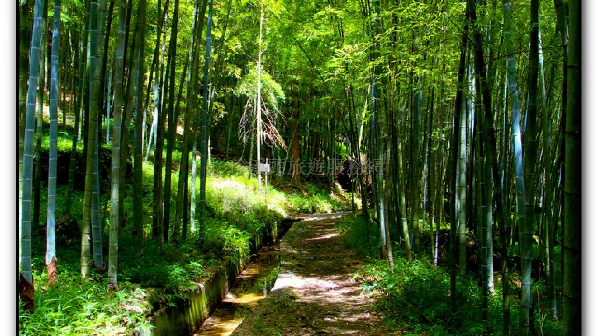 長源圳生態步道-小半天旅遊景點