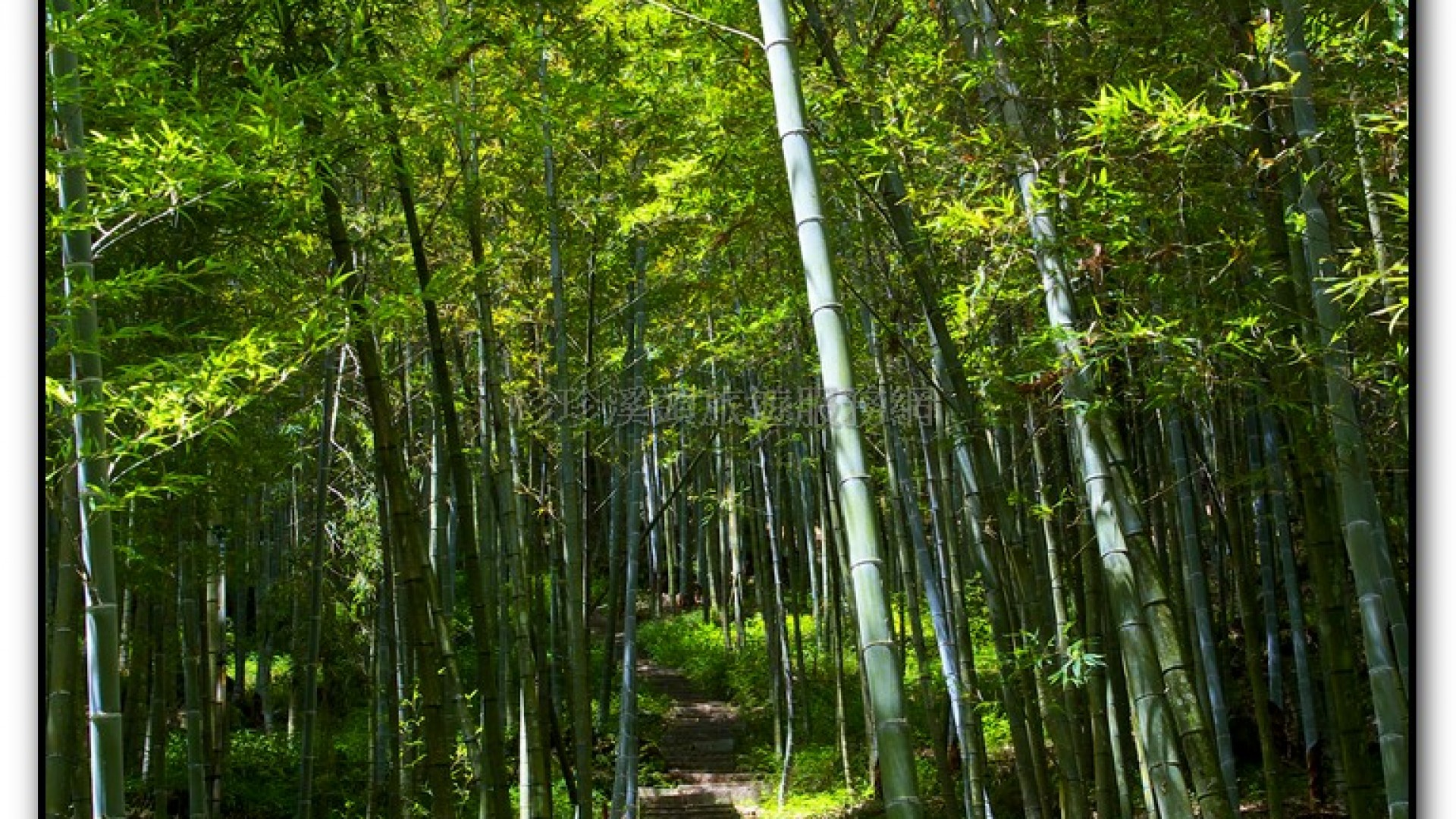 長源圳生態步道-小半天旅遊景點