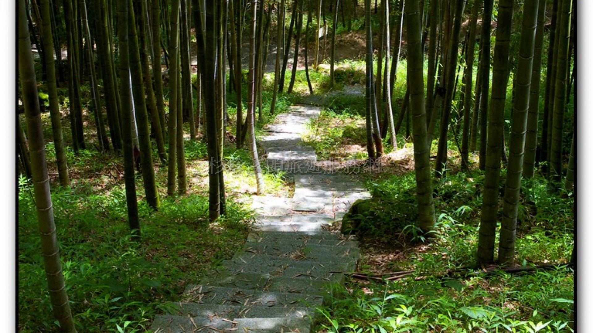 長源圳生態步道-小半天旅遊景點