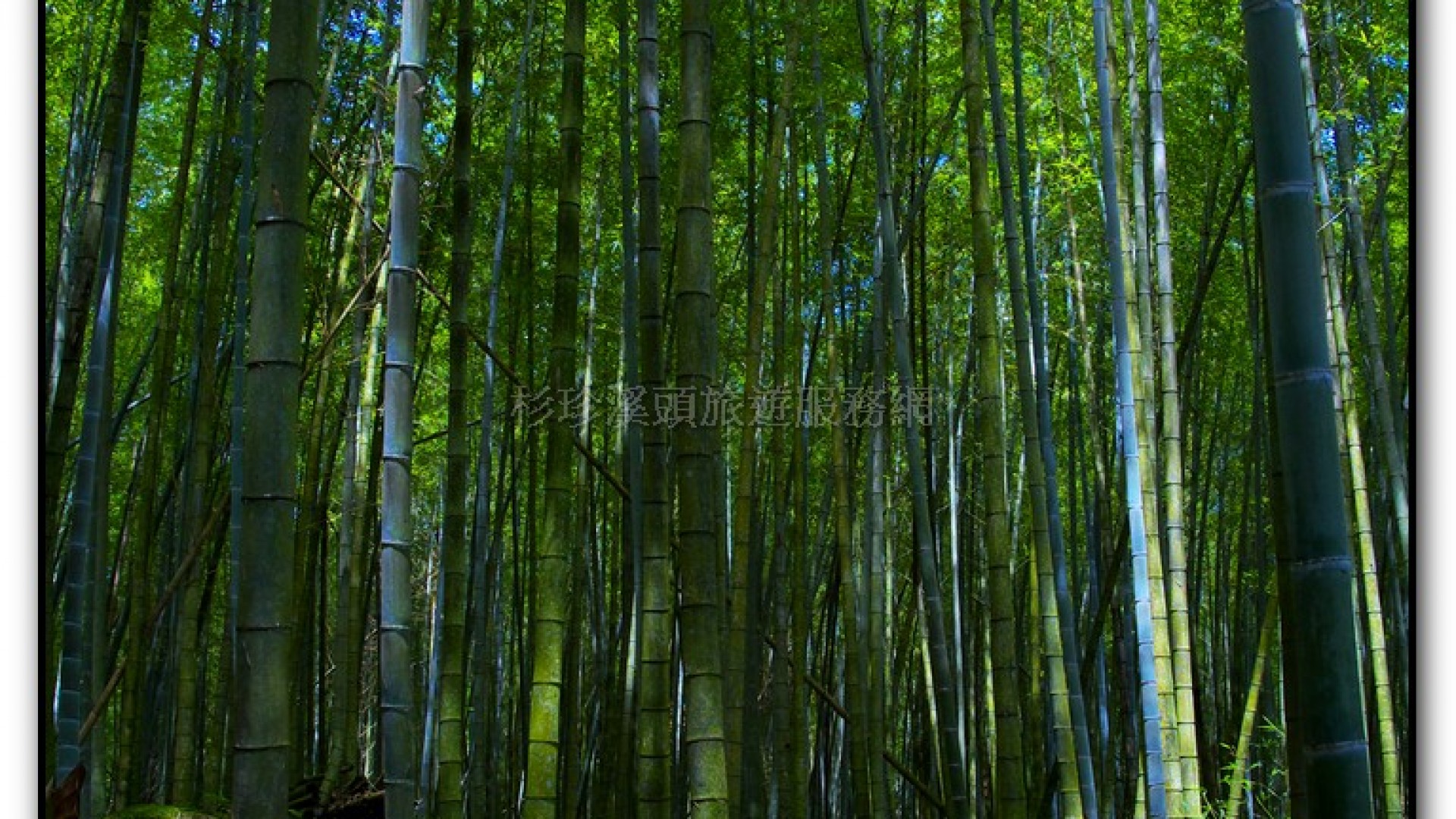 長源圳生態步道-小半天旅遊景點