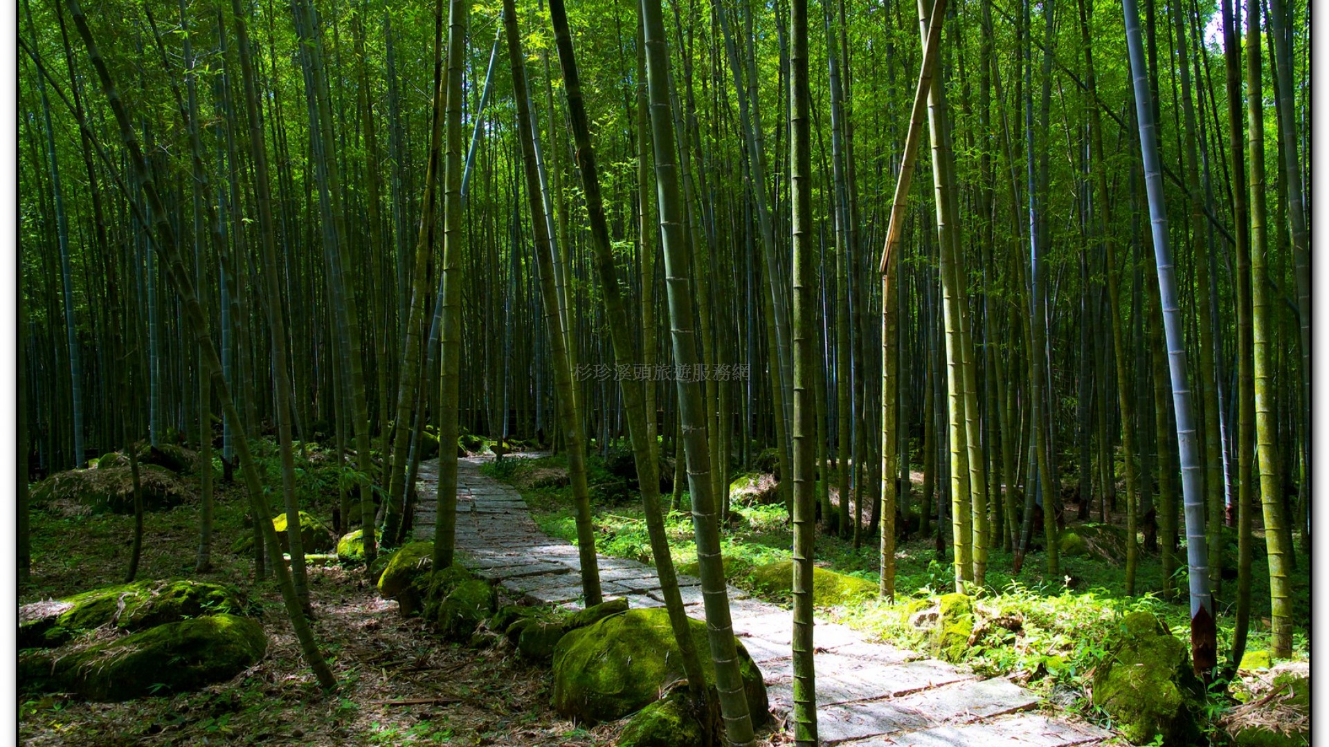 長源圳生態步道-小半天旅遊景點