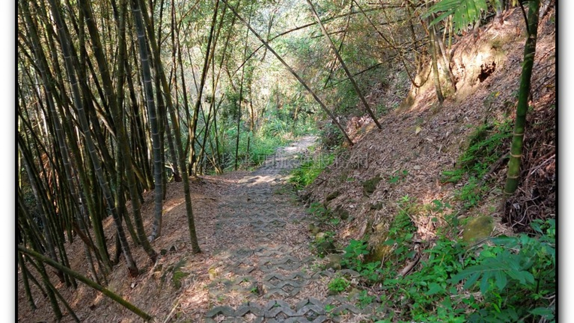 半天橋-小半天旅遊景點