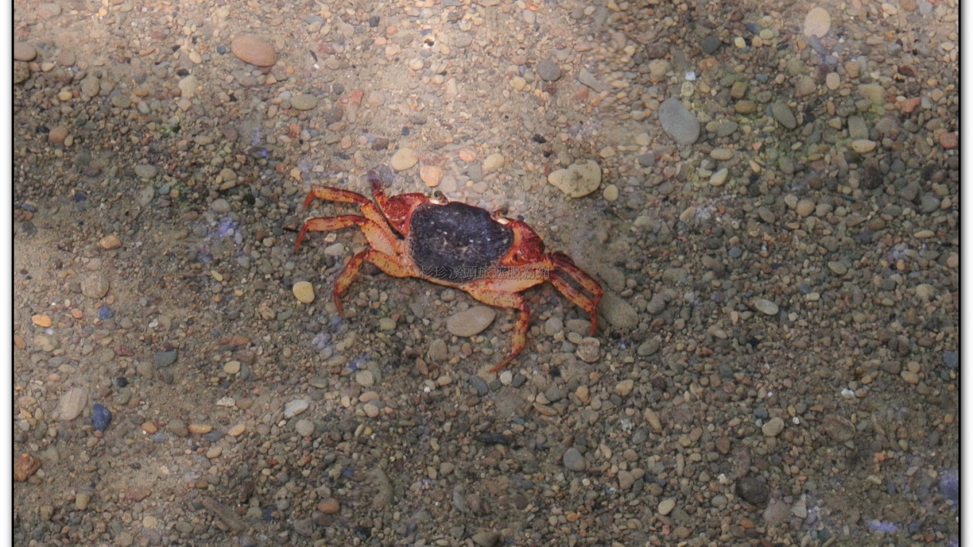 小半天旅遊景點-德興瀑布